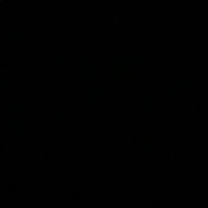 Meet your Posher, Rylee